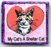 sheltercat.jpg (317001 bytes)